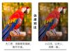 图片 BOSSDUN观月望远镜25-75倍